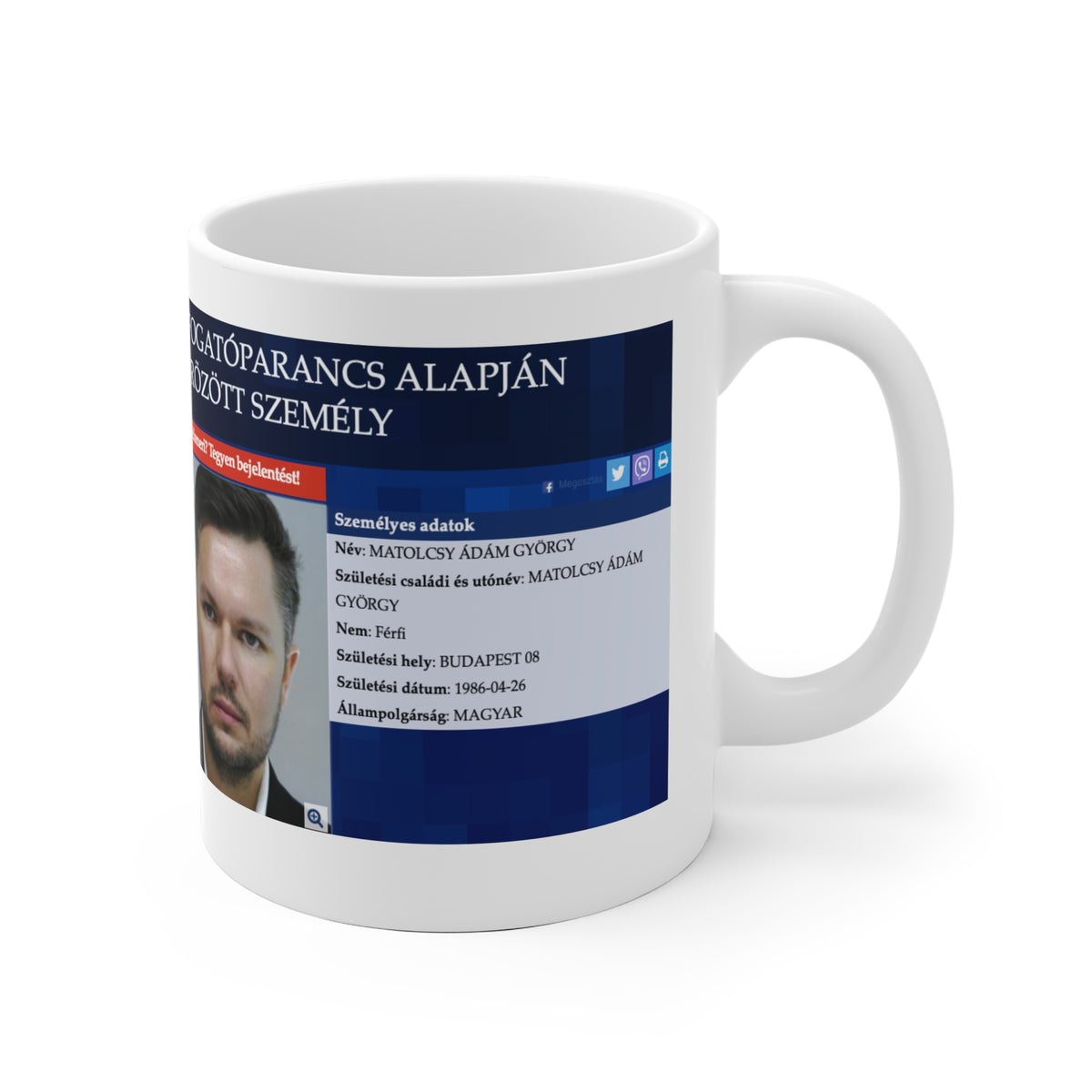 Matolcsy Ádám Bögre